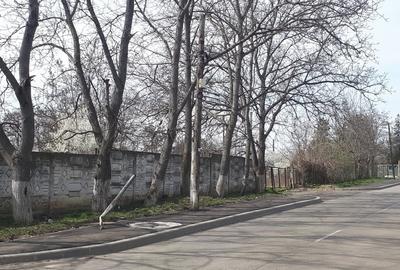 Teren de 2996 mp, în Vest - 8