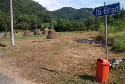 Casă cu 3 camere cu Teren 5400 Mp în Dumbrava - 8