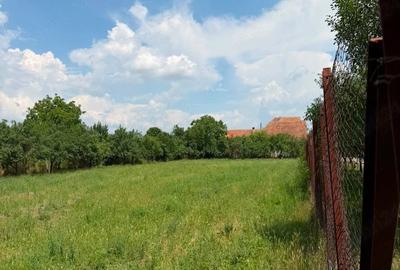 Teren de 2595 mp, în Pișchia - 6