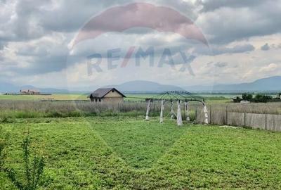Teren Construcții intravilan de 517 mp, în Bod - 11