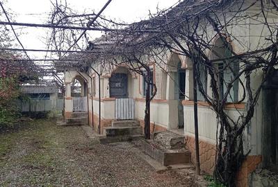 Casă cu 3 camere cu Teren 4000 Mp în Racovița - 3