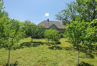 Casă cu 2 camere în Dersca - 9