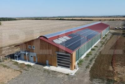 Spațiu industrial, de 1,900 mp, în Lazuri