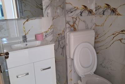 Apartament cu 3 camere decomandat în P-ța Unirii - 13
