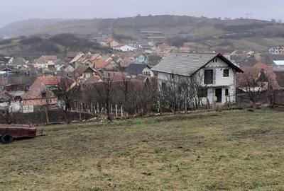 Spațiu comercial, de 3,600 mp, în Șura Mare - 7