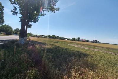 Teren Construcții intravilan de 3700 mp, în Sud - 6