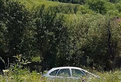 Teren de 8900 mp, în Deleni