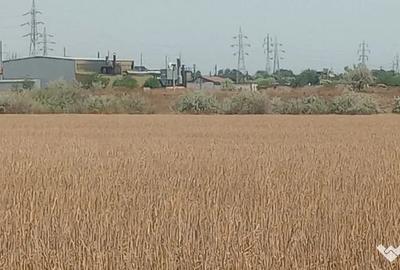 Teren de 8400 mp, în Zona Industrială - 2