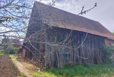 Spațiu comercial, în Albești