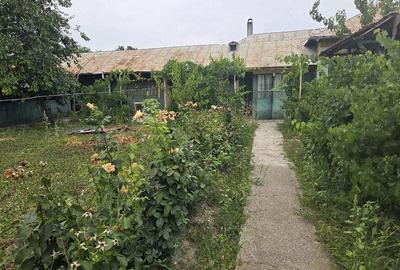 Casă cu 5 camere cu Teren 1772 Mp în Mavrodin