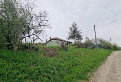 Casă cu 2 camere în Goiești - 3