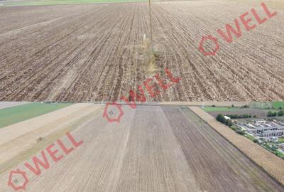 Teren agricol intravilan de 51400 mp, în Ozun - 1
