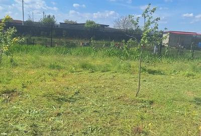 Teren de 1300 mp, în Plătărești - 5