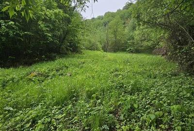 Teren extravilan de 2842 mp, în Vest