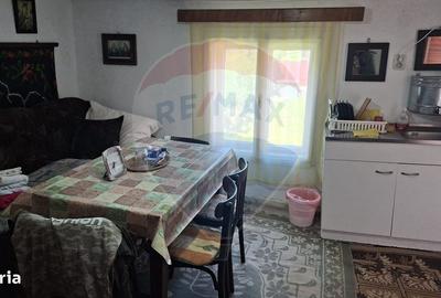 Casă cu 2 camere în Richiș - 9