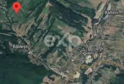 Teren Construcții extravilan de 4944 mp, în Tigveni - 2