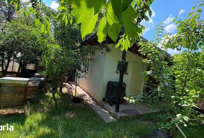 Casă cu 5 camere cu Teren 761 Mp în Aroneanu - 16