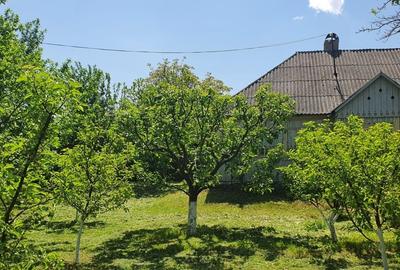Casă cu 2 camere în Dersca - 3