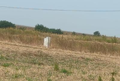 Teren Construcții intravilan de 699 mp, în Chișoda - 6