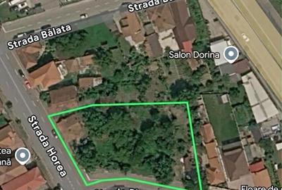 Casă cu 3 camere cu Teren 1300 Mp în Horea