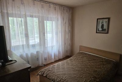 Apartament cu 3 camere decomandat în Micălaca - 9