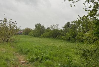 Teren de 2200 mp, în Gostinu - 3