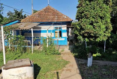 Casă cu 2 camere în Cozia - 7