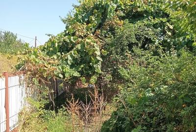 Casă cu 3 camere în Valea Râmnicului