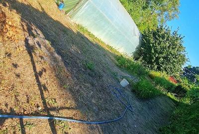 Casă cu 4 camere cu Teren 4500 Mp în Cunești