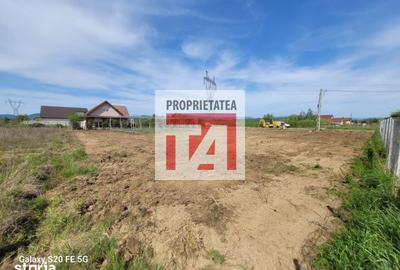 Teren de 1312 mp, în Coltău - 7