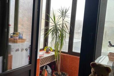 Apartament cu 2 camere decomandat, mobilat în Traian - 7