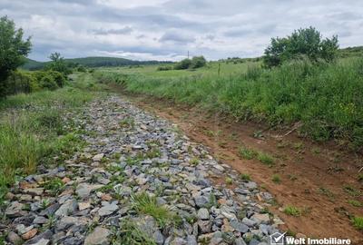 Teren Construcții intravilan de 924 mp, în Sălicea - 1
