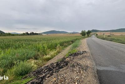 Teren de 4300 mp, în Central