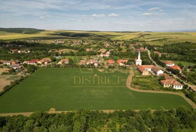 Teren Construcții intravilan de 16716 mp, în Petrovaselo - 9
