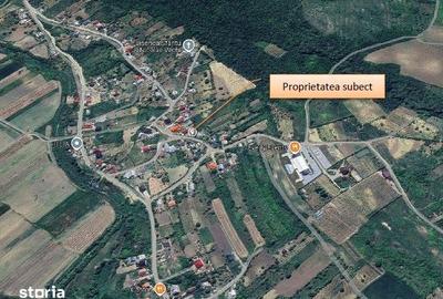 Casă cu 3 camere cu Teren 3006 Mp în Țuțora
