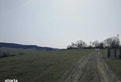 Teren de 15908 mp, în Libertății - 2