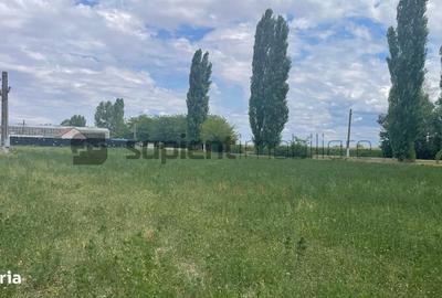 Spațiu comercial, în Cermei