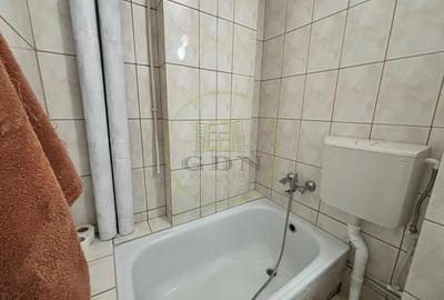 Garsonieră semidecomandată, mobilată în Craiovița Nouă - 5