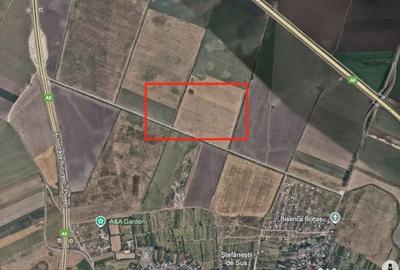 Teren de 38500 mp, în Ștefăneștii de Jos - 3