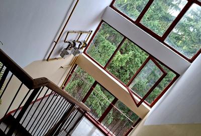 Apartament cu 2 camere semidecomandat în Eremia - 8