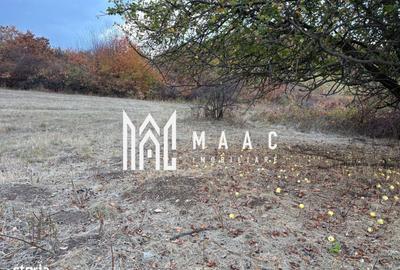 Spațiu comercial, în Poplaca