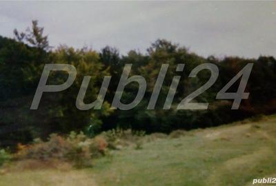 Teren de 90000 mp, în Bâlvănești - 1