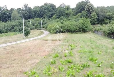 Teren de 2605 mp, în Pestișu Mic