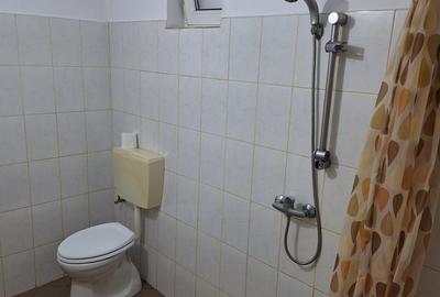 Casă cu 2 camere în Luduș - 2