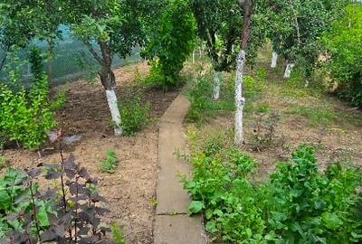 Casă individuală cu 3 camere cu Canalizare în Nord - 5