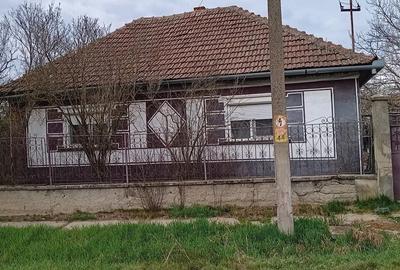 Casă cu Teren 1439 Mp în Chișlaz - 2