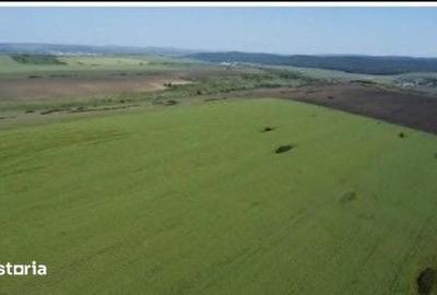 Teren de 4300 mp, în Bălteni - 4