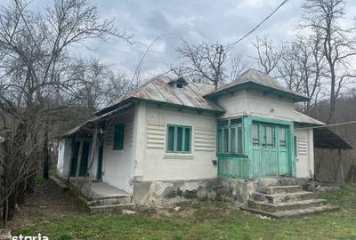 Casă cu 6 camere cu Teren 5000 Mp în Roești