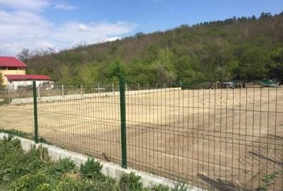 Teren de 800 mp, în Alexandru cel Bun - 6
