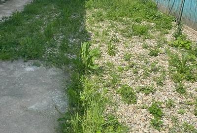 Casă cu 3 camere cu Teren 1200 Mp în Lucieni - 3